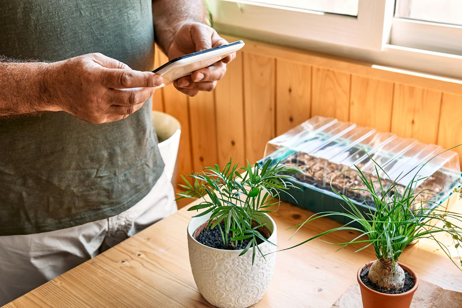 Build DIY Watering Automation Lifehacks