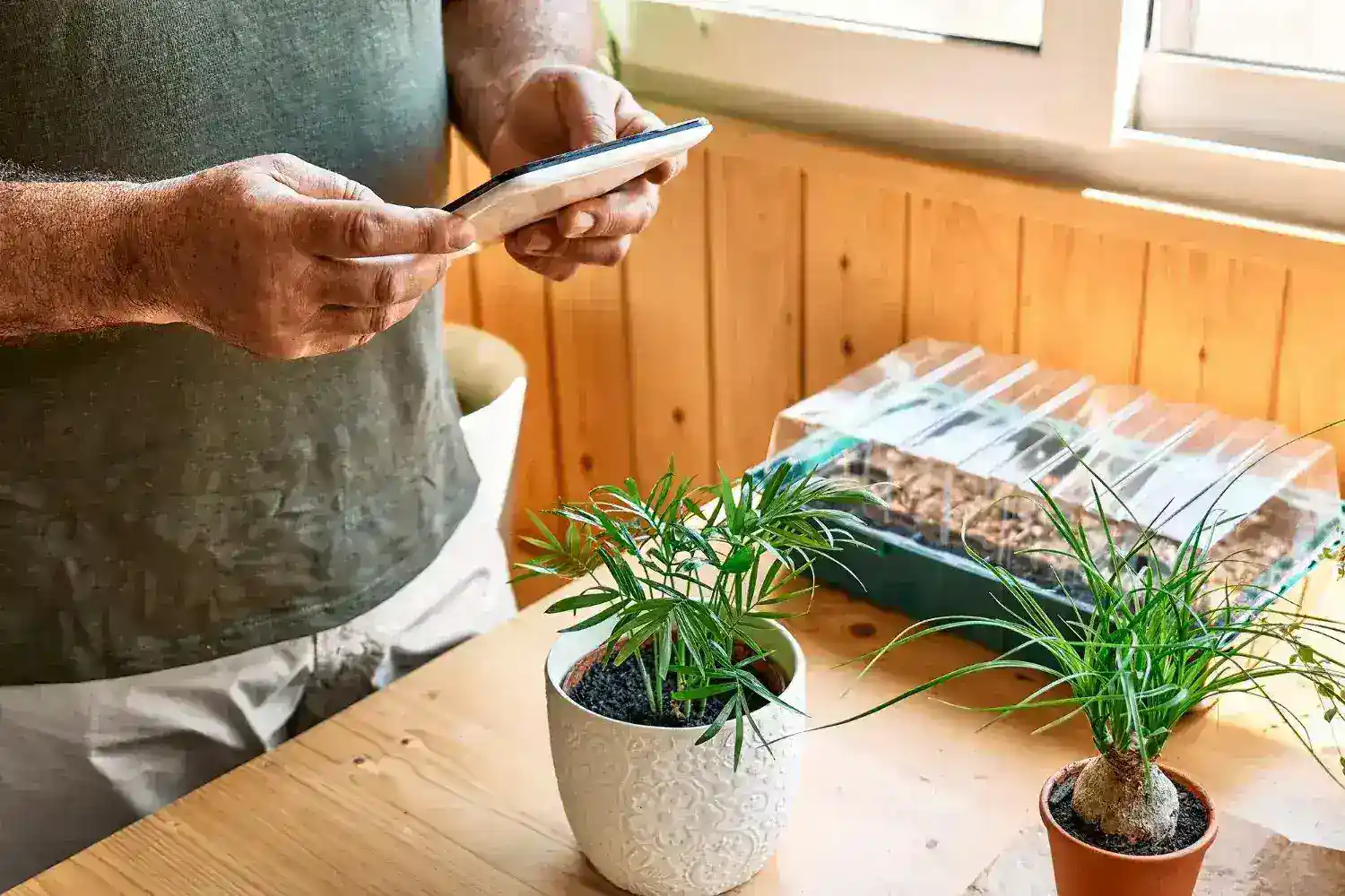 Build DIY Watering Automation Lifehacks